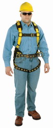 Workmanֿȫʽȫ()