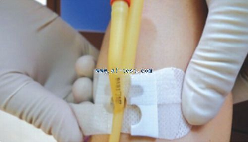 am550098(中号)导尿管固定